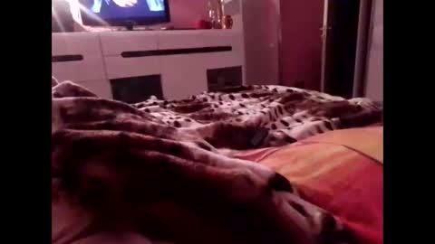 Snapshot of sexypairjuly chatting on 11-04-25, 11:15 sexypairjuly online show from 11-04-25, 11:15