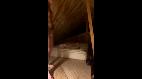 Smooth bi guy online show from 03-07-26, 08:11