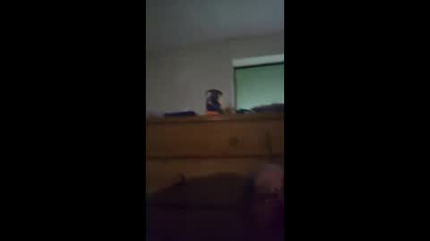 sgtbrown01 online show from 04-23-26, 12:40