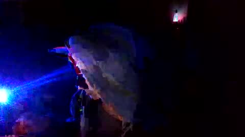 shades455 online show from 05-11-26, 01:00
