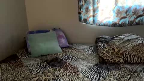 Shaman Woman online show from 12-06-24, 05:11