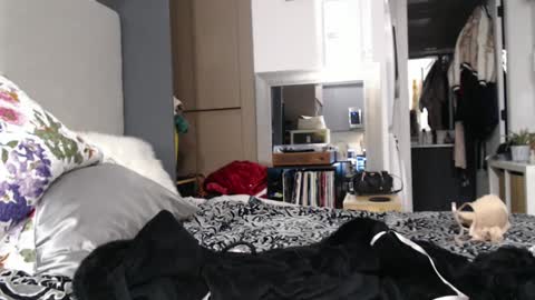 Snapshot of shannon07 chatting on 01-13-25, 02:50 Shannon07 online show from 01-13-25, 02:50