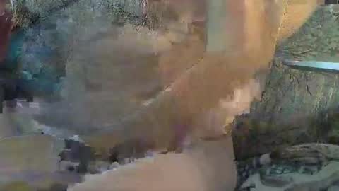 Sharkey644 online show from 11-11-25, 04:40