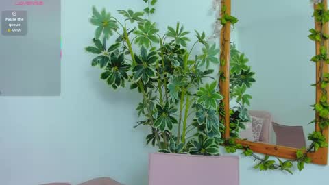Shego  online show from 06-07-26, 12:26