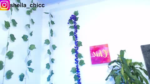 Snapshot of sheila_bigcok chatting on 12-09-24, 10:52 SHEILA  online show from 12-09-24, 10:52