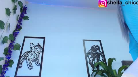 Snapshot of sheila_bigcok chatting on 02-25-25, 12:36 SHEILA  online show from 02-25-25, 12:36