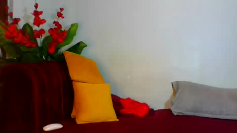 Snapshot of shelia420715 chatting on 07-25-26, 07:28 shelia420715 online show from 07-25-26, 07:28
