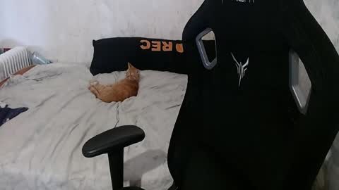 show_for_you online show from 04-23-26, 01:57