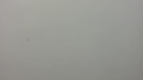 show_on_for_you online show from 03-24-26, 09:09