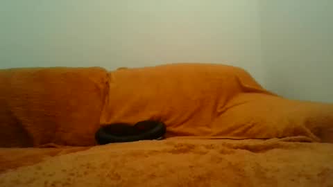 Snapshot of showherenow chatting on 03-08-26, 08:18 showherenow online show from 03-08-26, 08:18