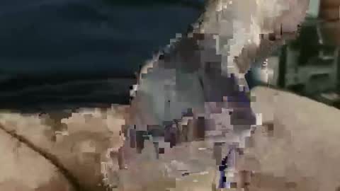 showsme online show from 09-22-25, 12:07