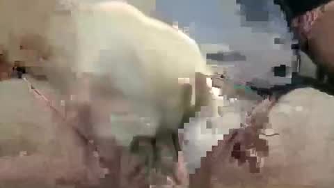 showsme online show from 10-28-25, 10:52