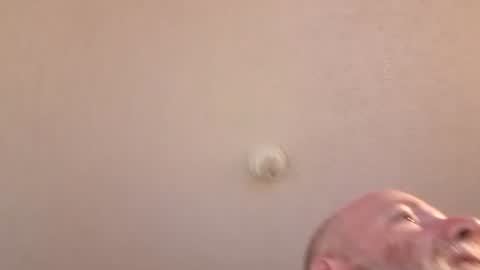 showuthed online show from 07-25-26, 07:44