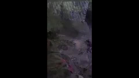 shylom28193 online show from 04-06-26, 10:27