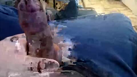 shynessy online show from 12-15-25, 01:10