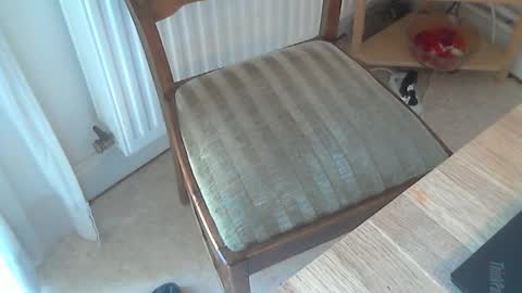 Seba online show from 03-04-25, 11:19