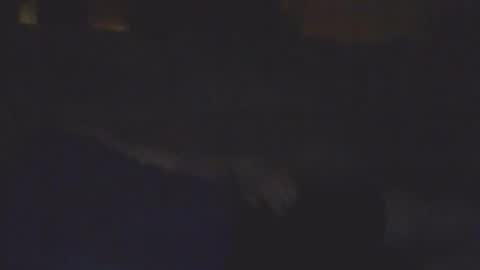 Bill online show from 02-11-26, 08:19