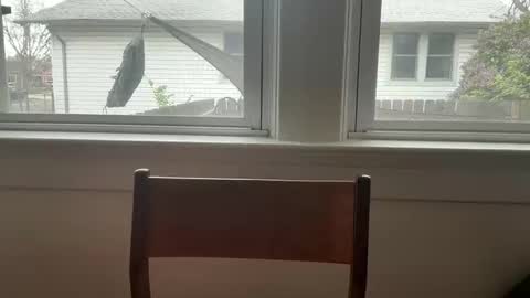 sie273 online show from 04-11-26, 06:45