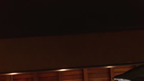 SIENA STONE online show from 01-18-25, 02:03