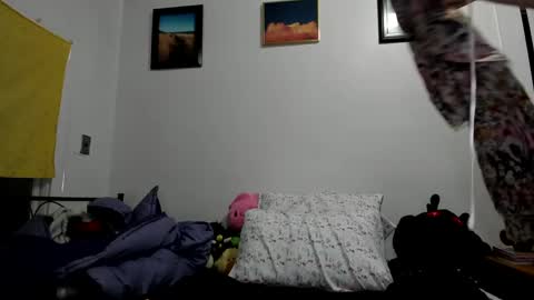 Sierra online show from 01-23-25, 04:41