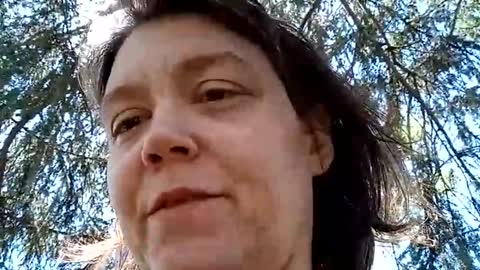 Bush with a class 3 rating online show from 04-23-26, 05:48