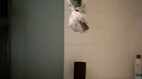 sigmaelixer online show from 10-18-25, 08:37