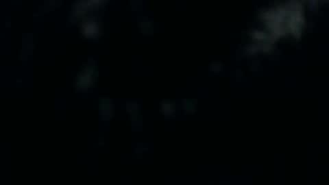 Snapshot of silkeyoz chatting on 12-10-24, 01:22 Silkey online show from 12-10-24, 01:22