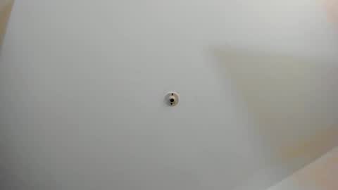 silvabranko online show from 11-02-25, 11:07