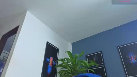 silvabranko online show from 11-26-25, 12:11