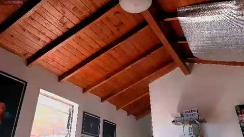 Snapshot of silvabranko chatting on 06-22-26, 03:09 silvabranko online show from 06-22-26, 03:09