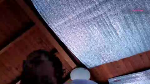 Snapshot of silvabranko chatting on 07-13-26, 03:04 silvabranko online show from 07-13-26, 03:04