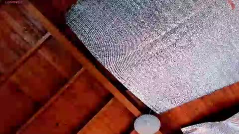 Snapshot of silvabranko chatting on 07-19-26, 03:05 silvabranko online show from 07-19-26, 03:05