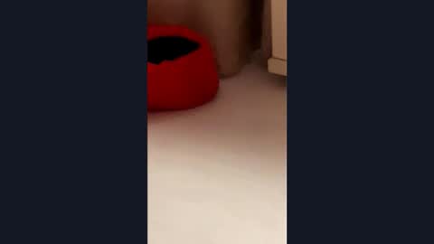 silvia998 online show from 03-21-26, 09:07