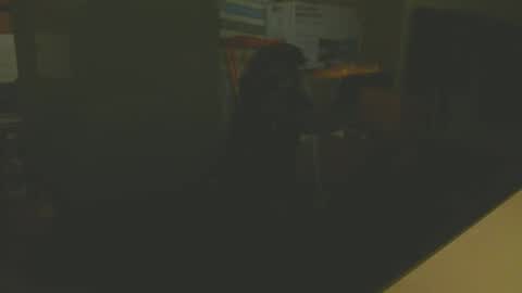 silvin76 online show from 01-06-25, 05:08