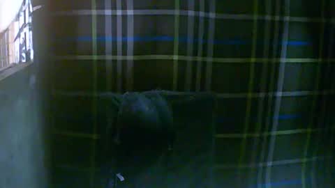 Snapshot of simply__me chatting on 02-16-26, 12:07 simply__me online show from 02-16-26, 12:07