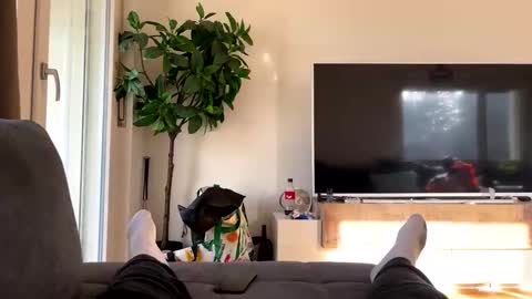 sincarro online show from 11-19-25, 11:21