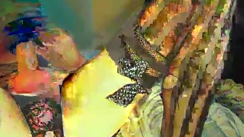 Sir Loin online show from 02-20-25, 05:07