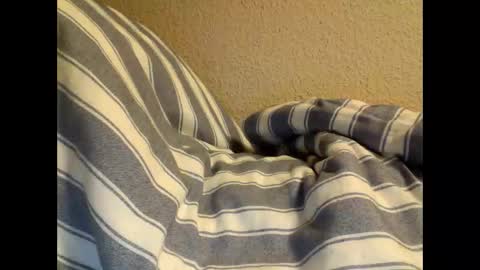 sircamalot45 online show from 02-17-25, 01:36