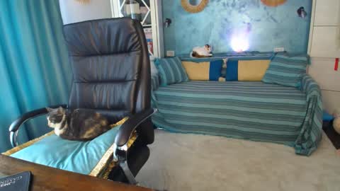 Snapshot of siriamasha chatting on 05-17-26, 01:51 Amasha11 online show from 05-17-26, 01:51