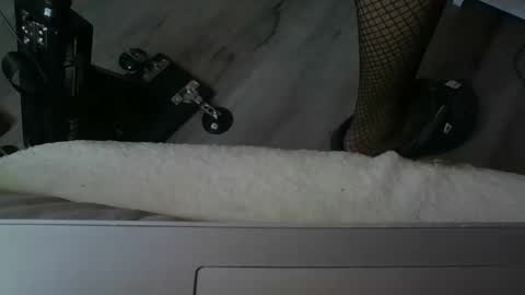 sissymia1234 online show from 12-17-25, 03:23