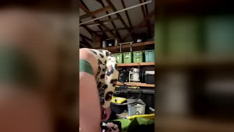 SissyMiles online show from 08-01-26, 07:29