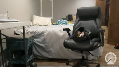 Snapshot of sissyryan3 chatting on 01-21-25, 12:46 sissyryan3 online show from 01-21-25, 12:46