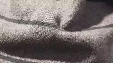 Snapshot of skeetzmgee chatting on 11-12-25, 05:57 skeetzmgee online show from 11-12-25, 05:57