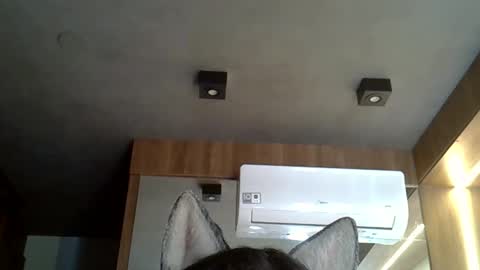skinnykittencam online show from 10-24-25, 06:59