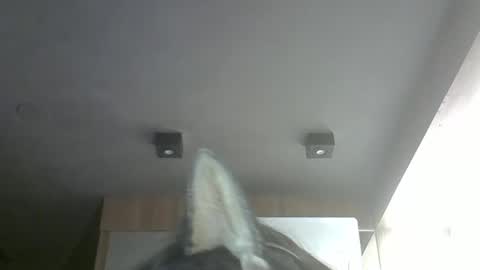 skinnykittencam online show from 03-22-26, 02:42