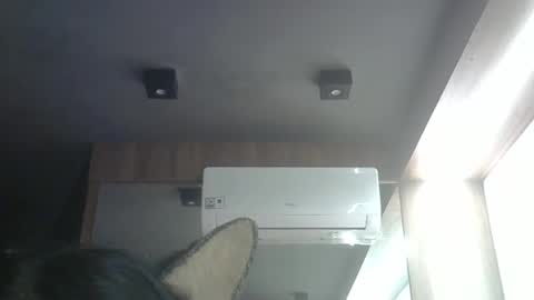 skinnykittencam online show from 05-04-26, 03:13
