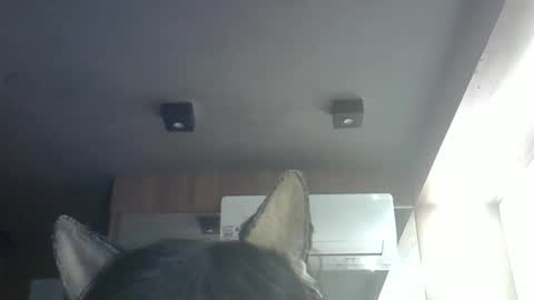 skinnykittencam online show from 05-14-26, 09:05