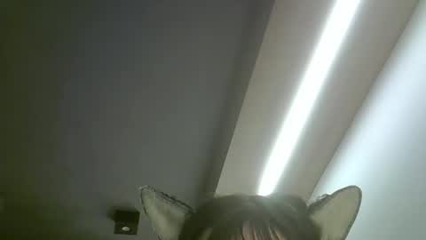 skinnykittencam online show from 05-19-26, 02:18