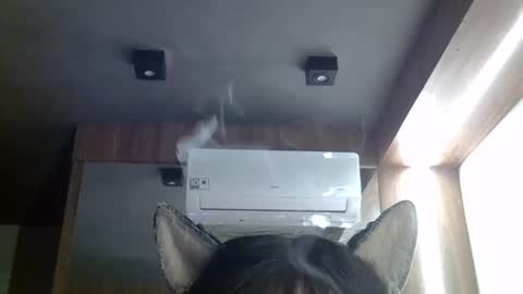 skinnykittencam online show from 05-20-26, 02:45