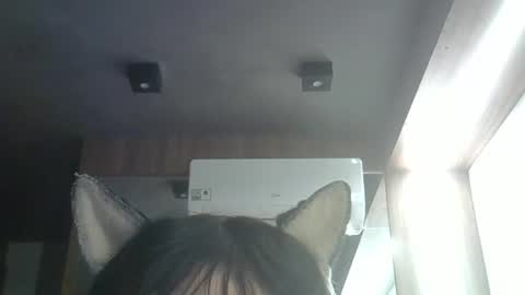 skinnykittencam online show from 05-23-26, 03:38